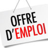 Emploi et Insertion